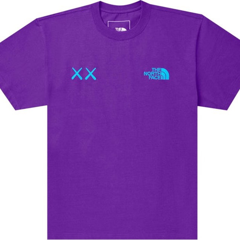 The North Face x KAWS Short-Sleeve Tee 'Gravity Purple'